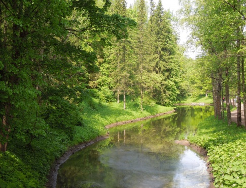 Старосильвийские пруды