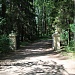 Павловский парк - Старосильвийские ворота от Центральной аллеи к Памятнику Родителей